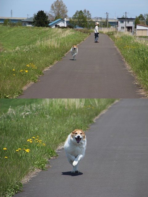 ファイル 70-2.jpg