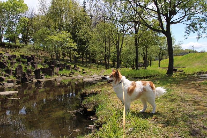 ファイル 70-4.jpg