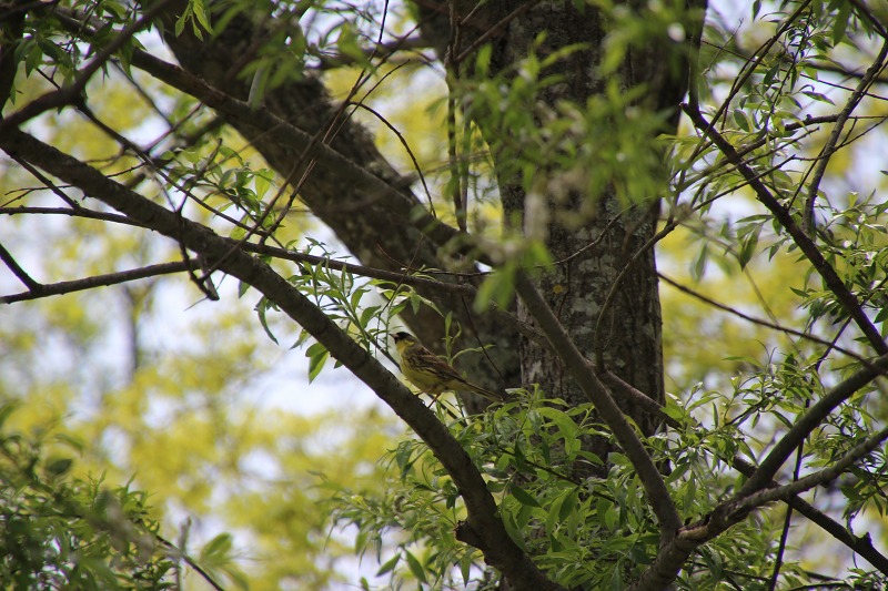 ファイル 70-9.jpg