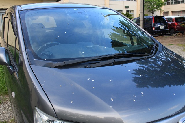 ファイル 74-3.jpg