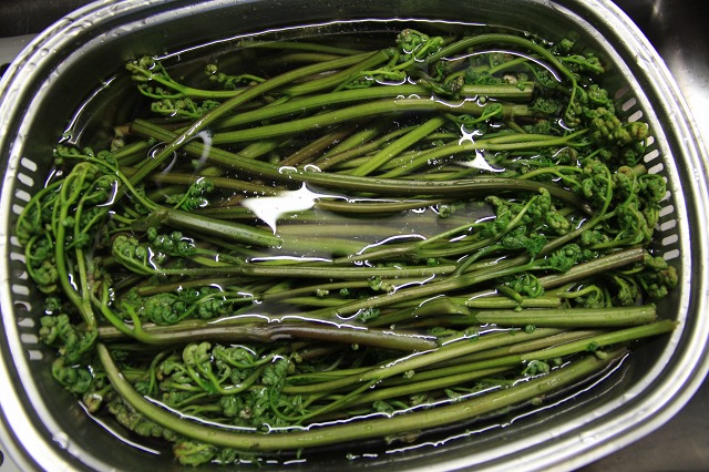 ファイル 74-9.jpg