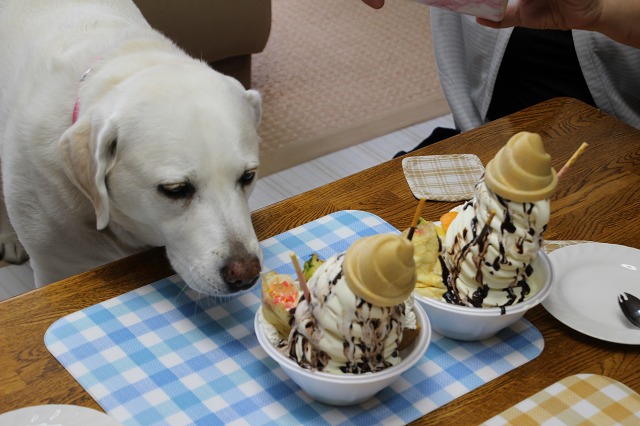 ファイル 76-9.jpg