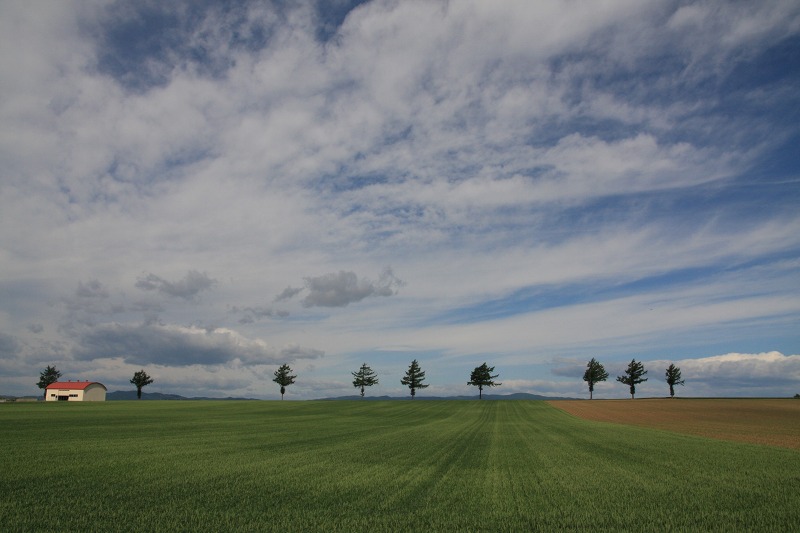 ファイル 77-1.jpg