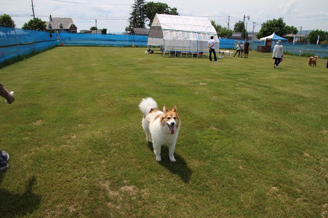 ファイル 77-2.jpg