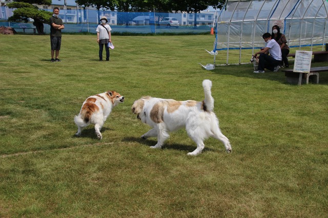 ファイル 77-4.jpg