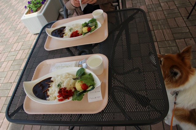 ファイル 77-5.jpg