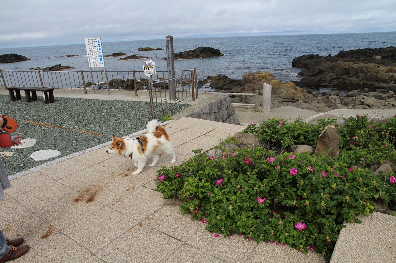 ファイル 78-2.jpg