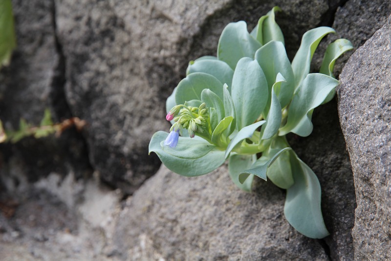 ファイル 78-3.jpg