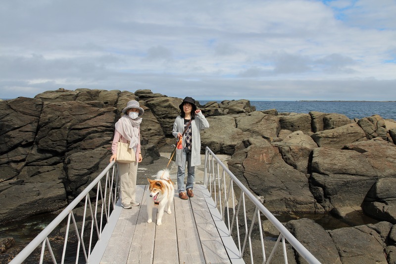 ファイル 78-4.jpg