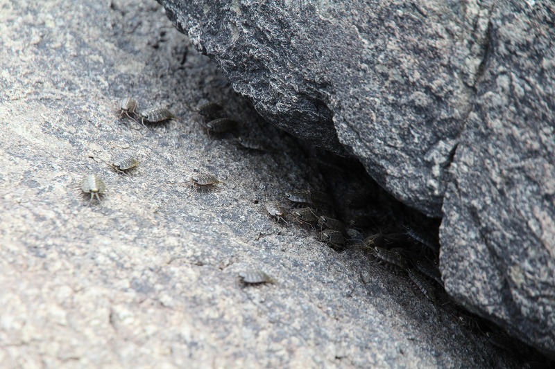 ファイル 78-5.jpg