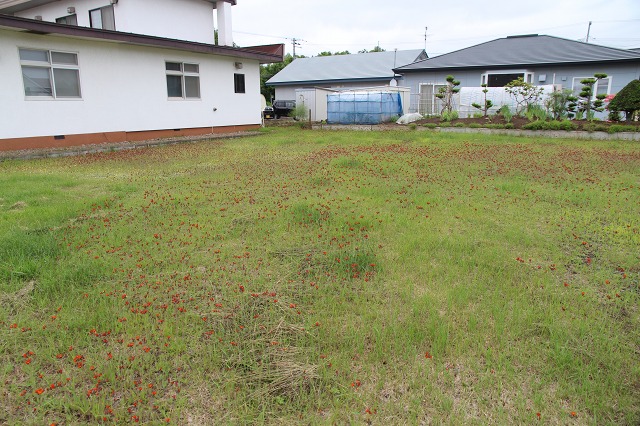 ファイル 79-1.jpg