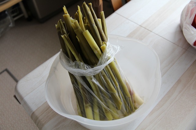 ファイル 79-3.jpg