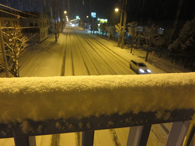 ファイル 8-1.jpg