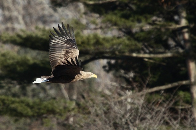 ファイル 8-4.jpg