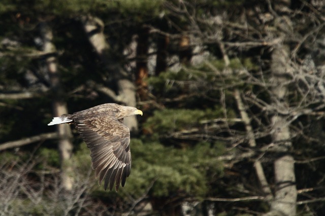 ファイル 8-5.jpg