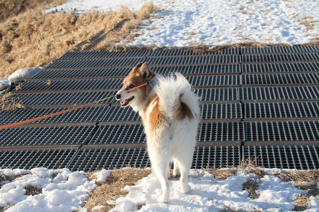 ファイル 8-6.jpg