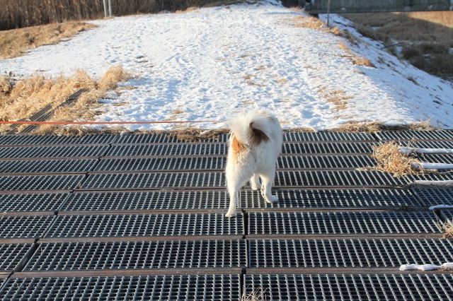 ファイル 8-7.jpg