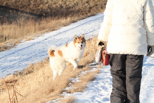 ファイル 8-9.jpg