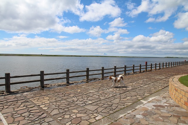 ファイル 81-3.jpg