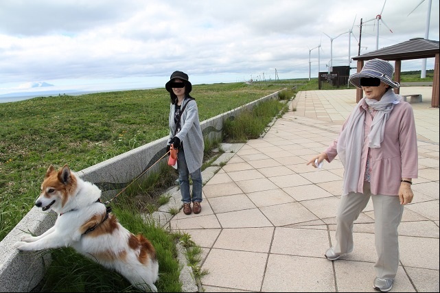 ファイル 81-7.jpg