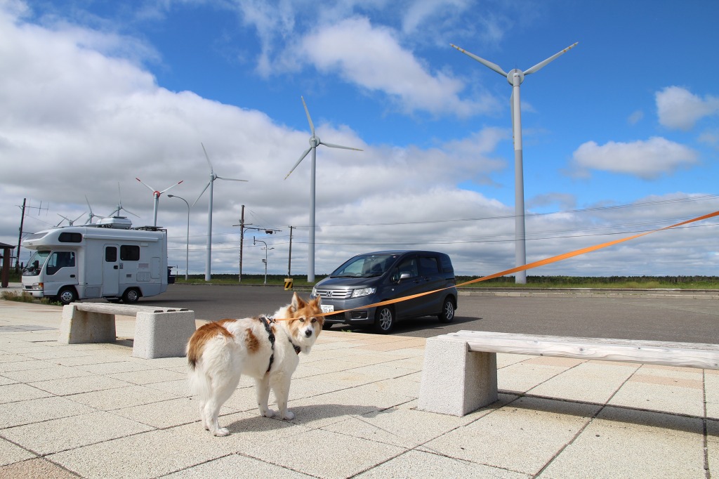 ファイル 81-8.jpg