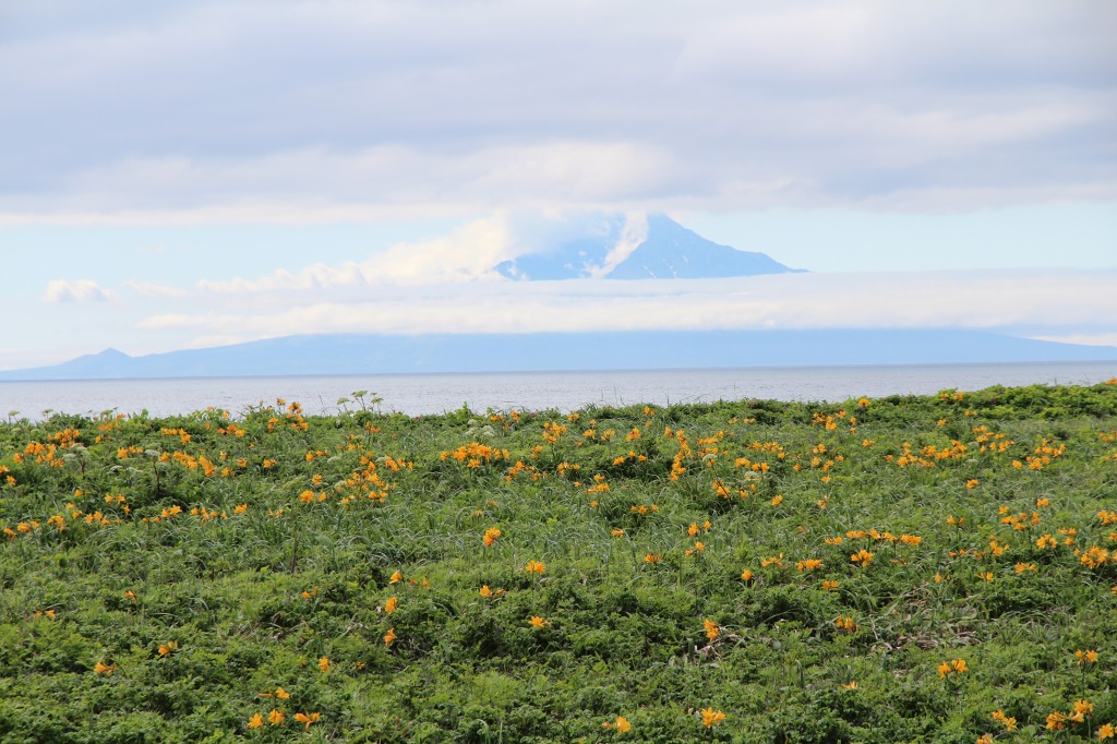 ファイル 81-9.jpg