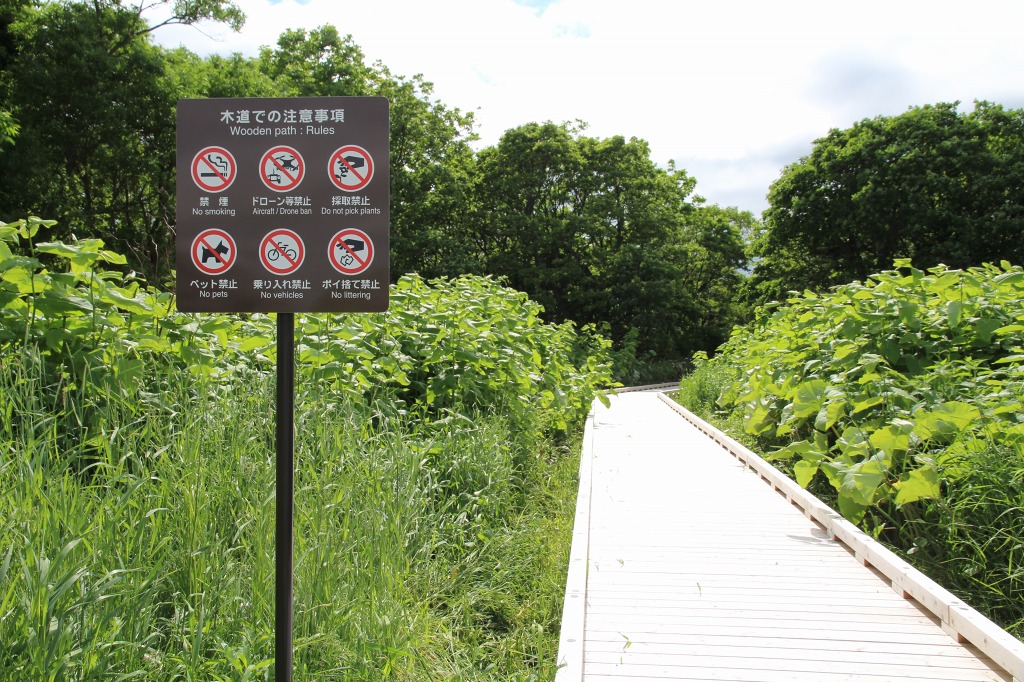 ファイル 82-1.jpg