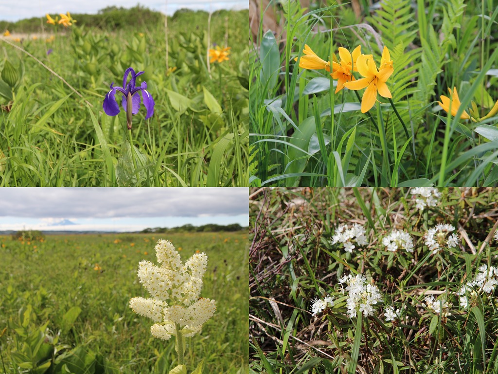 ファイル 82-2.jpg