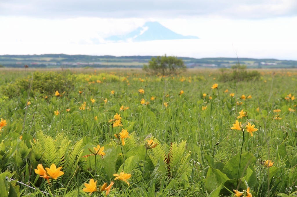 ファイル 82-4.jpg