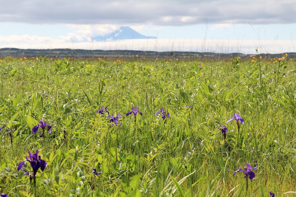 ファイル 82-5.jpg