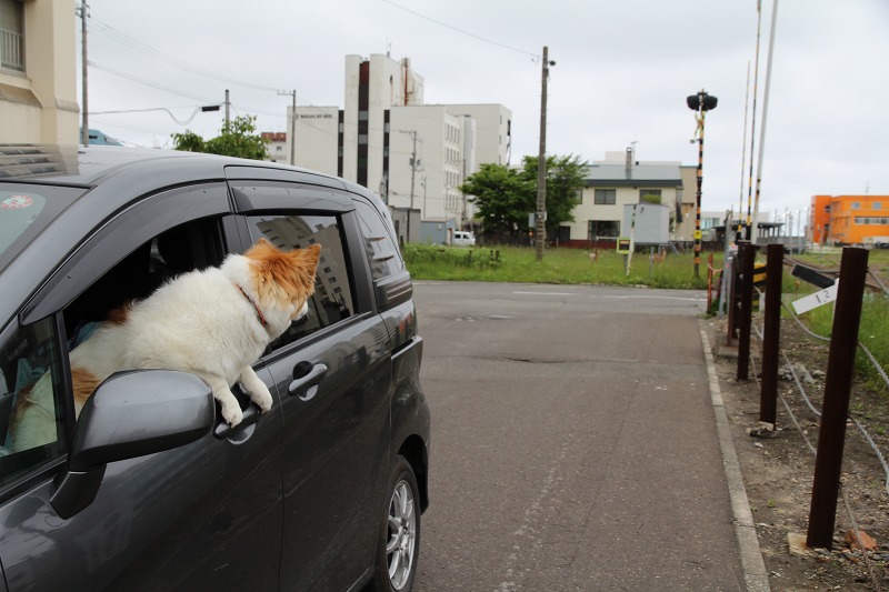 ファイル 84-8.jpg