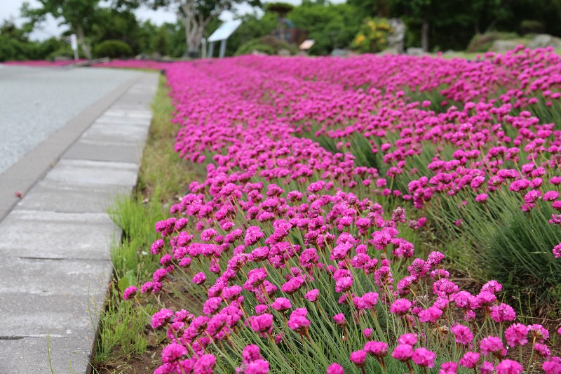 ファイル 85-6.jpg