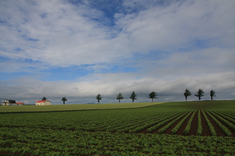 ファイル 86-1.jpg