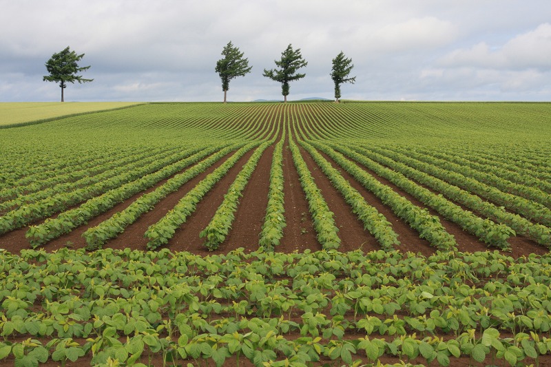 ファイル 86-2.jpg