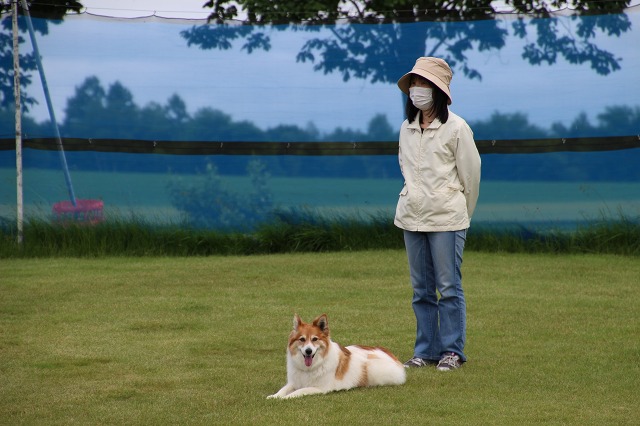 ファイル 86-3.jpg