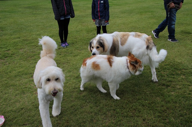 ファイル 86-6.jpg