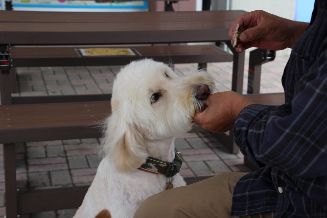 ファイル 86-8.jpg