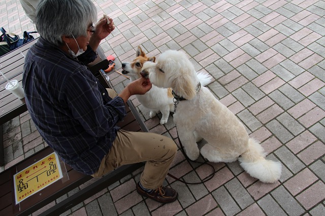 ファイル 86-9.jpg