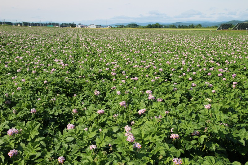 ファイル 88-1.jpg