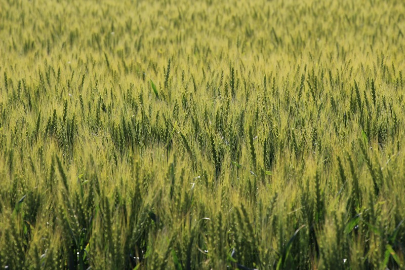 ファイル 88-2.jpg