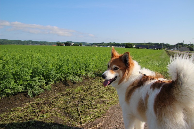 ファイル 88-3.jpg