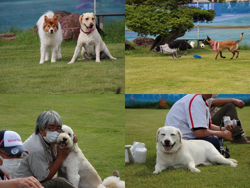 ファイル 88-6.jpg