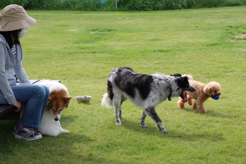 ファイル 88-7.jpg