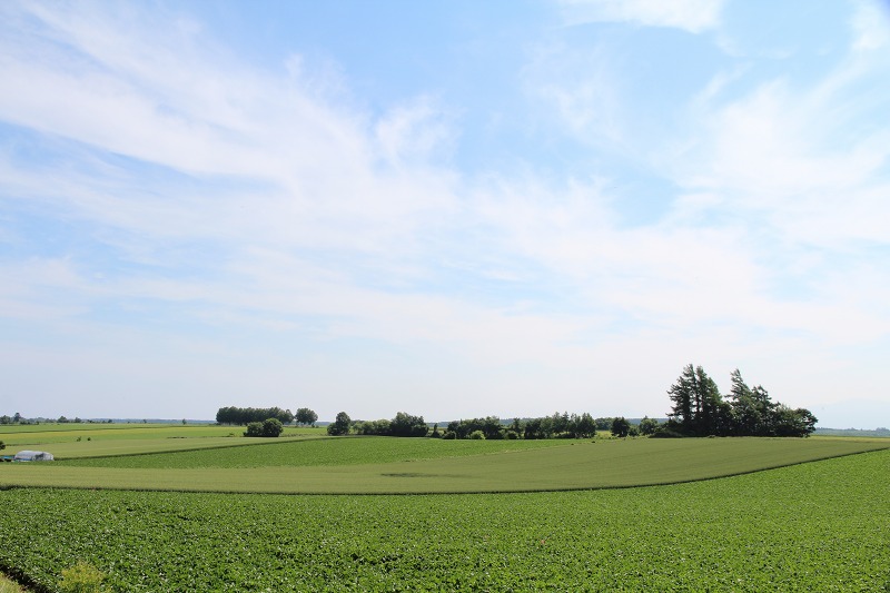 ファイル 89-1.jpg