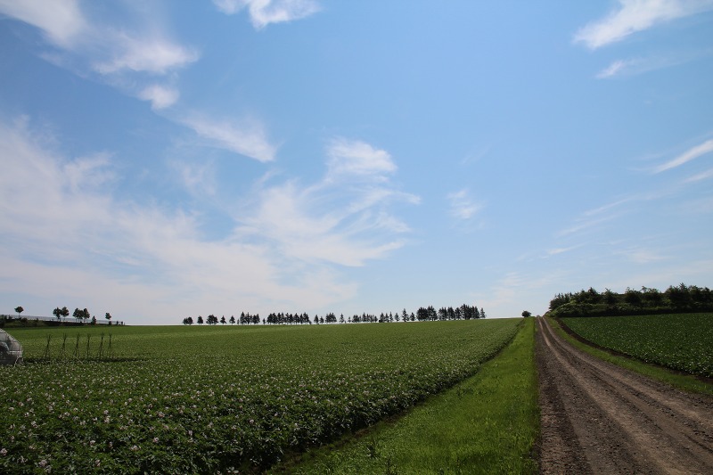 ファイル 89-2.jpg