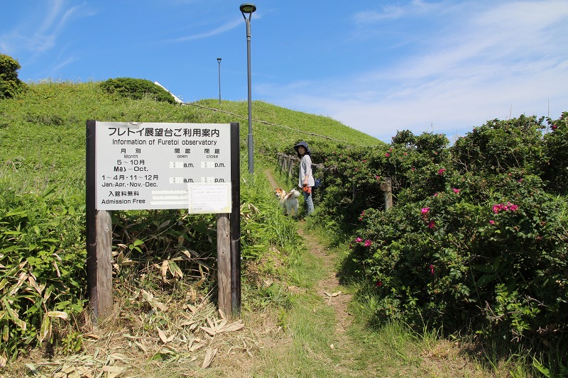 ファイル 89-3.jpg