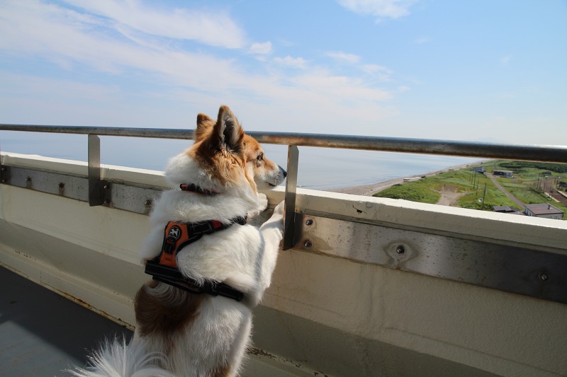 ファイル 89-5.jpg