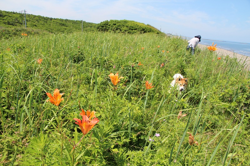 ファイル 89-7.jpg