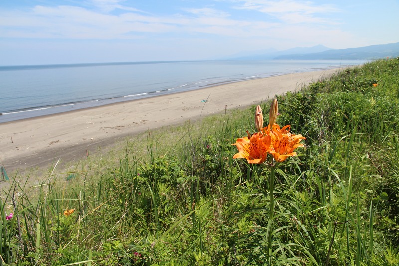 ファイル 89-8.jpg