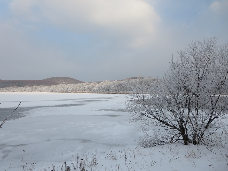 ファイル 9-2.jpg